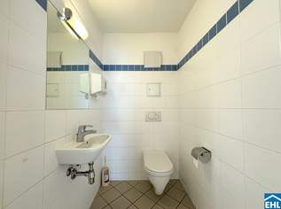 Laurenzi am Fluss, 1395000 €, Immobilien-Wohnungen in 1010 Innere Stadt