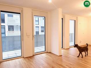 Familienwohnung mit viel Freifläche - 4 Zimmer Wohnung nahe Badner Bahn, 653500 €, Immobilien-Wohnungen in 1230 Liesing