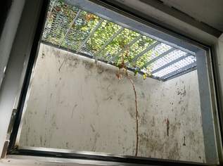 Model Schörg Keller schacht mit Gitter für Kellerfenster unter erde, 199 €, Haus, Bau, Garten-Hausbau & Werkzeug in 2244 Gemeinde Spannberg