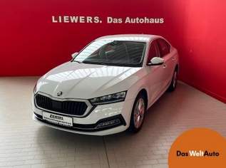 Octavia Style TDI, 24800 €, Auto & Fahrrad-Autos in 1100 Favoriten