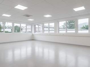 !!!Bezugsfertig!!! Bürogebäude-Neubau 284 m² (EG), 4603.8 €, Immobilien-Gewerbeobjekte in Oberösterreich !!!Bezugsfertig!!! Bürogebäude-Neubau 284 m² (EG), 4603.8 €, Immobilien-Gewerbeobjekte in Oberösterreich