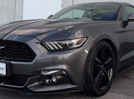 Mustang, 34990 €, Auto & Fahrrad-Autos in 2301 Gemeinde Groß-Enzersdorf Mustang, 34990 €, Auto & Fahrrad-Autos in 2301 Gemeinde Groß-Enzersdorf