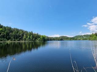 Rückzugsort am Saissersee, 595000 €, Immobilien-Häuser in 9220 Sonnental