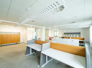 Bürofläche im 2. Liftstock, 2000.86 €, Immobilien-Gewerbeobjekte in 1220 Donaustadt