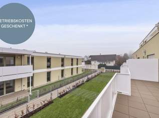 OSTERAKTION! Provisionsfreie 3-Zimmer-Wohnung mit Rundum-Dachterrasse | Zugang von jedem Raum | Großzügig geschnitten, 366000 €, Immobilien-Wohnungen in 2540 Bad Vöslau