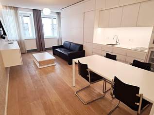 STEPHANSPLATZ-NÄHE, möbliertes 35 m2 Apartment, 1 Zimmer, Kochnische, Duschbad, Parketten, 3. Liftstock, Rotenturmstraße, 947.97 €, Immobilien-Wohnungen in 1010 Innere Stadt