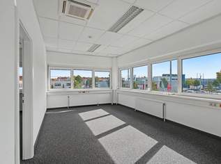 Kombination Lager 840 m2 und Büro 285 m2 im Süden Wiens, 11962.5 €, Immobilien-Gewerbeobjekte in 1230 Liesing