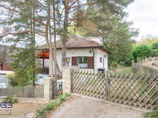 Kleines Haus, großer Grund – 981 m² Ruhelage in Plank am Kamp, 139000 €, Immobilien-Häuser in 3564 Plank am Kamp Kleines Haus, großer Grund – 981 m² Ruhelage in Plank am Kamp, 139000 €, Immobilien-Häuser in 3564 Plank am Kamp