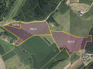 Bad Waltersdorf: Weinberge, Ackerflächen und Wald für experimentierfreudige Winzer oder Landwirte mit Vision