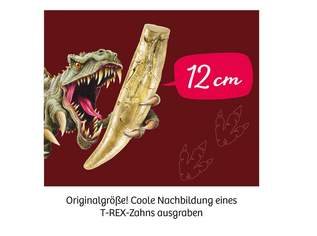 T-Rex-Set zum Ausgraben