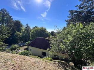 Großes Grundstück mit Haus in außergewöhnlicher Waldrandlage, 490000 €, Immobilien-Häuser in 2551 Enzesfeld Großes Grundstück mit Haus in außergewöhnlicher Waldrandlage, 490000 €, Immobilien-Häuser in 2551 Enzesfeld