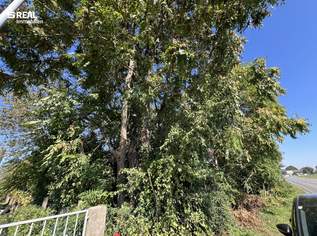 Baugrundstück in Top-Lage – perfekt für Familien, 249000 €, Immobilien-Grund und Boden in 2230 Gemeinde Gänserndorf