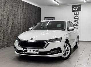 Octavia Combi 2,0 TDI Style DSG / LED/ HEAD UP D./ VIRT..., 22490 €, Auto & Fahrrad-Autos in Kärnten Octavia Combi 2,0 TDI Style DSG / LED/ HEAD UP D./ VIRT..., 22490 €, Auto & Fahrrad-Autos in Kärnten