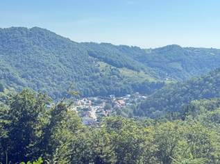Mischwald mit Zufahrt und Aussicht, 26430.3 €, Immobilien-Grund und Boden in 3541 Gemeinde Senftenberg