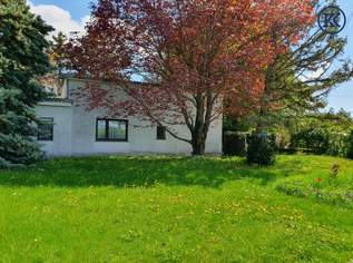 Ein Haus für kreative Köpfe, 325000 €, Immobilien-Grund und Boden in 1220 Donaustadt Ein Haus für kreative Köpfe, 325000 €, Immobilien-Grund und Boden in 1220 Donaustadt