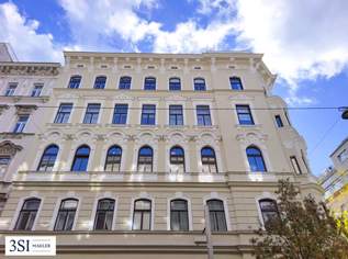 Baubewilligter Rohdachboden in beliebter Neubauer Lage mit großem Entwicklungspotential, 750000 €, Immobilien-Wohnungen in 1070 Neubau