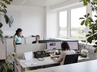 Geräumige Bürofläche exakt auf Ihre Bedürfnisse abgestimmt, provisionsfrei - WALTER BUSINESS-PARK, 3430.4 €, Immobilien-Gewerbeobjekte in 1230 Liesing