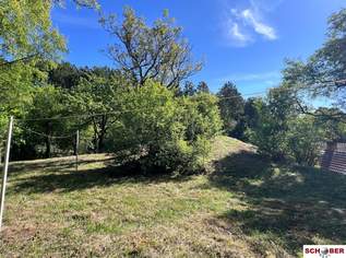 2.061 m² am Waldrand – Grundstück mit vielseitigen Möglichkeiten in Enzesfeld, 490000 €, Immobilien-Grund und Boden in 2551 Enzesfeld