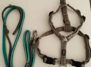 2x Hunde Leinen/1x B. Geschirr, 20 €, Marktplatz-Tiere & Tierbedarf in 8010 Sankt Leonhard 2x Hunde Leinen/1x B. Geschirr, 20 €, Marktplatz-Tiere & Tierbedarf in 8010 Sankt Leonhard