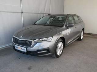 Škoda OCTAVIA Combi 4x4 Ambition TDI DSG, 23790 €, Auto & Fahrrad-Autos in 8430 Leibnitz