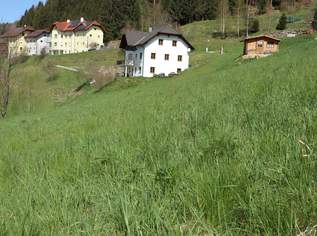 Baugrund in sonniger Süd-West-Hanglage, 19789.92 €, Immobilien-Grund und Boden in 4272 Weitersfelden Baugrund in sonniger Süd-West-Hanglage, 19789.92 €, Immobilien-Grund und Boden in 4272 Weitersfelden