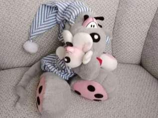 Diddl Maus mit Schlafmütze und kleiner Diddl Maus im Arm, ca 30cm, FIXPREIS 25€ / NUR SELBSTABHOLUNG,23 Bez. KEIN Versand!, 25 €, Kindersachen-Spielzeug in 1230 Liesing Diddl Maus mit Schlafmütze und kleiner Diddl Maus im Arm, ca 30cm, FIXPREIS 25€ / NUR SELBSTABHOLUNG,23 Bez. KEIN Versand!, 25 €, Kindersachen-Spielzeug in 1230 Liesing