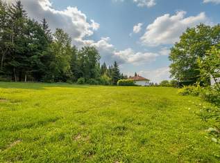 Sonniges Baugrundstück in grüner Lage von Natternbach – ohne Bauzwang, 45000 €, Immobilien-Grund und Boden in 4723 Natternbach Sonniges Baugrundstück in grüner Lage von Natternbach – ohne Bauzwang, 45000 €, Immobilien-Grund und Boden in 4723 Natternbach