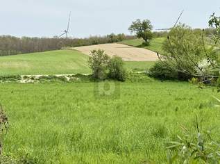 Preisreduktion! FÜR OUTDOOR-ENTHUSIASTEN AUSSERHALB DES SIEDLUNGSBEREICHES, 29900 €, Immobilien-Grund und Boden in 7032 Gemeinde Sigleß Preisreduktion! FÜR OUTDOOR-ENTHUSIASTEN AUSSERHALB DES SIEDLUNGSBEREICHES, 29900 €, Immobilien-Grund und Boden in 7032 Gemeinde Sigleß