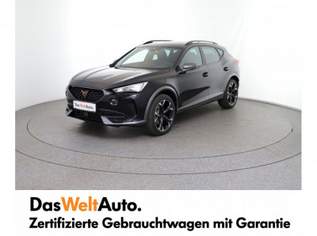 Formentor TRIBE 2.0 TDI 150PS DSG 4Drive, 40950 €, Auto & Fahrrad-Autos in 8792 St. Peter-Freienstein