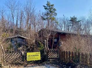 Reiterer See! Doppelparzelle mit Sommerhäuschen!, 350000 €, Immobilien-Grund und Boden in 2721 Bad Fischau Reiterer See! Doppelparzelle mit Sommerhäuschen!, 350000 €, Immobilien-Grund und Boden in 2721 Bad Fischau