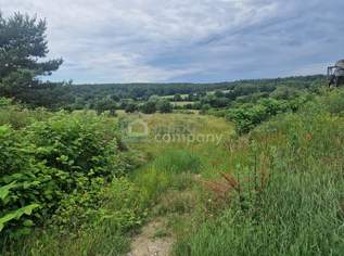 Rarität - Grund mit Teilwidmung Reitplatz/Reitanlage - 10.360 m² um nur 140.000 €!, 140000 €, Immobilien-Grund und Boden in 7321 Unterfrauenhaid