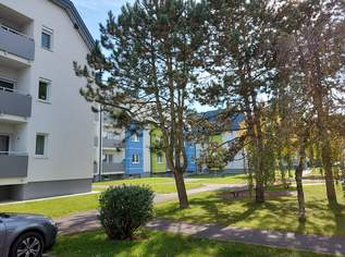 St. Pantaleon, 3 Zimmer, 76 m² / 01881 00093, 568 €, Immobilien-Wohnungen in 4303 St. Pantaleon St. Pantaleon, 3 Zimmer, 76 m² / 01881 00093, 568 €, Immobilien-Wohnungen in 4303 St. Pantaleon