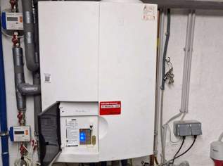 Gastherme, 200 €, Haus, Bau, Garten-Hausbau & Werkzeug in 7344 Gemeinde Stoob