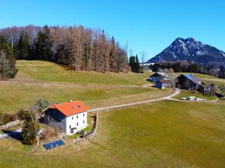 Charmantes Zweifamilienhaus in Alleinlage, 760000 €, Immobilien-Häuser in 5303 Thalgau