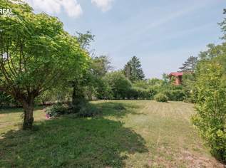 Rarität - Geldanlage ohne Bauzwang in Leobendorf - Ihr Traumgrundstück in Bestlage wartet auf Sie, 398000 €, Immobilien-Grund und Boden in Niederösterreich