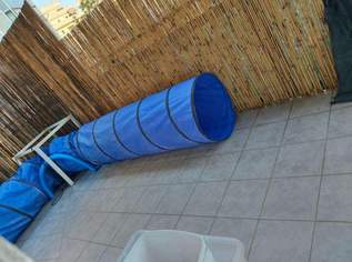 Hunde-Spieltunnel - Agility Tunnel, 22 €, Marktplatz-Tiere & Tierbedarf in 8010 Sankt Leonhard Hunde-Spieltunnel - Agility Tunnel, 22 €, Marktplatz-Tiere & Tierbedarf in 8010 Sankt Leonhard