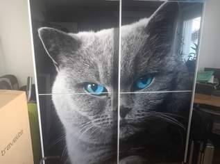 Katzen Schwebetürschrank, 150 €, Haus, Bau, Garten-Möbel & Sanitär in 8141 Premstätten Katzen Schwebetürschrank, 150 €, Haus, Bau, Garten-Möbel & Sanitär in 8141 Premstätten
