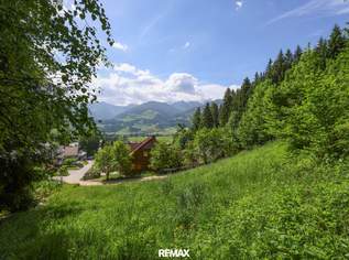 KAUFANBOT vorliegend! Baugrundstück mit Bergblick in Weißenbach bei Haus, 199000 €, Immobilien-Grund und Boden in 8967 Weißenbach