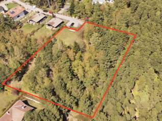 Bauland direkt am Wald, wenn man Ruhe und gute Luft mag (kein Bauzwang, aufgeschlossen, privat), 370000 €, Immobilien-Grund und Boden in 2812 Gemeinde Hollenthon