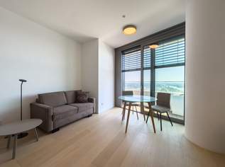 LUXUS ÜBER DEN DÄCHERN WIENS – IHR APARTMENT IM HÖCHSTEN WOHNTURM ÖSTERREICHS, 1590 €, Immobilien-Wohnungen in 1220 Donaustadt