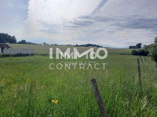 **Schönes sonniges Grundstück im Kurort Bad Hall**, 155000 €, Immobilien-Grund und Boden in 4540 Bad Hall **Schönes sonniges Grundstück im Kurort Bad Hall**, 155000 €, Immobilien-Grund und Boden in 4540 Bad Hall