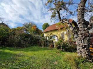 Entzückendes Einfamilienhaus mit Gartenoase in sonniger Lage, 265000 €, Immobilien-Häuser in 7423 Gemeinde Pinkafeld