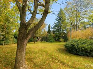 Ein Ort zum Wohlfühlen – für Familien, Träume und Gartenfreuden | ZELLMANN IMMOBILIEN, 2385.7 €, Immobilien-Häuser in 1230 Liesing