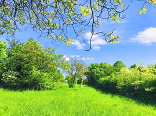 Baugrund 1 in Höhenlage am Naturschutzgebiet, 164000 €, Immobilien-Grund und Boden in 7091 Gemeinde Breitenbrunn Baugrund 1 in Höhenlage am Naturschutzgebiet, 164000 €, Immobilien-Grund und Boden in 7091 Gemeinde Breitenbrunn