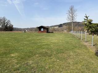 Ebenes Baugrundstück ohne Bauverpflichtung in ruhiger Siedlungslage, 128877 €, Immobilien-Grund und Boden in 4715 Taufkirchen an der Trattnach