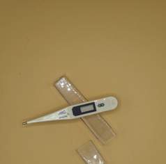 Fieberthermometer Fritz wasserfest, 8 €, Marktplatz-Beauty, Gesundheit & Wellness in 3200 Gemeinde Ober-Grafendorf