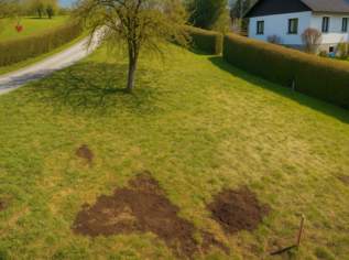 Ihr Baugrund für Ihr neues Tinyhouse, 32340 €, Immobilien-Grund und Boden in 3261 Gemeinde Steinakirchen am Forst Ihr Baugrund für Ihr neues Tinyhouse, 32340 €, Immobilien-Grund und Boden in 3261 Gemeinde Steinakirchen am Forst