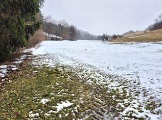 WIESEN Teil 6, 24000 €, Immobilien-Grund und Boden in 3233 Kilb WIESEN Teil 6, 24000 €, Immobilien-Grund und Boden in 3233 Kilb