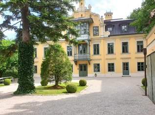 Luxuriöse Villa in 1230 Wien ++ Privat / Gewerblich nutzbar : 15 Zimmer, 7 Schlafzimmer, Garten, Balkone und Garage, Einliegerwohnung, ., 14207.6 €, Immobilien-Häuser in 1230 Liesing
