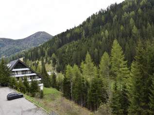 Eigentumswohnung im Biosphärenpark Nockberge Innerkrems, 80000 €, Immobilien-Wohnungen in 9862 Innerkrems